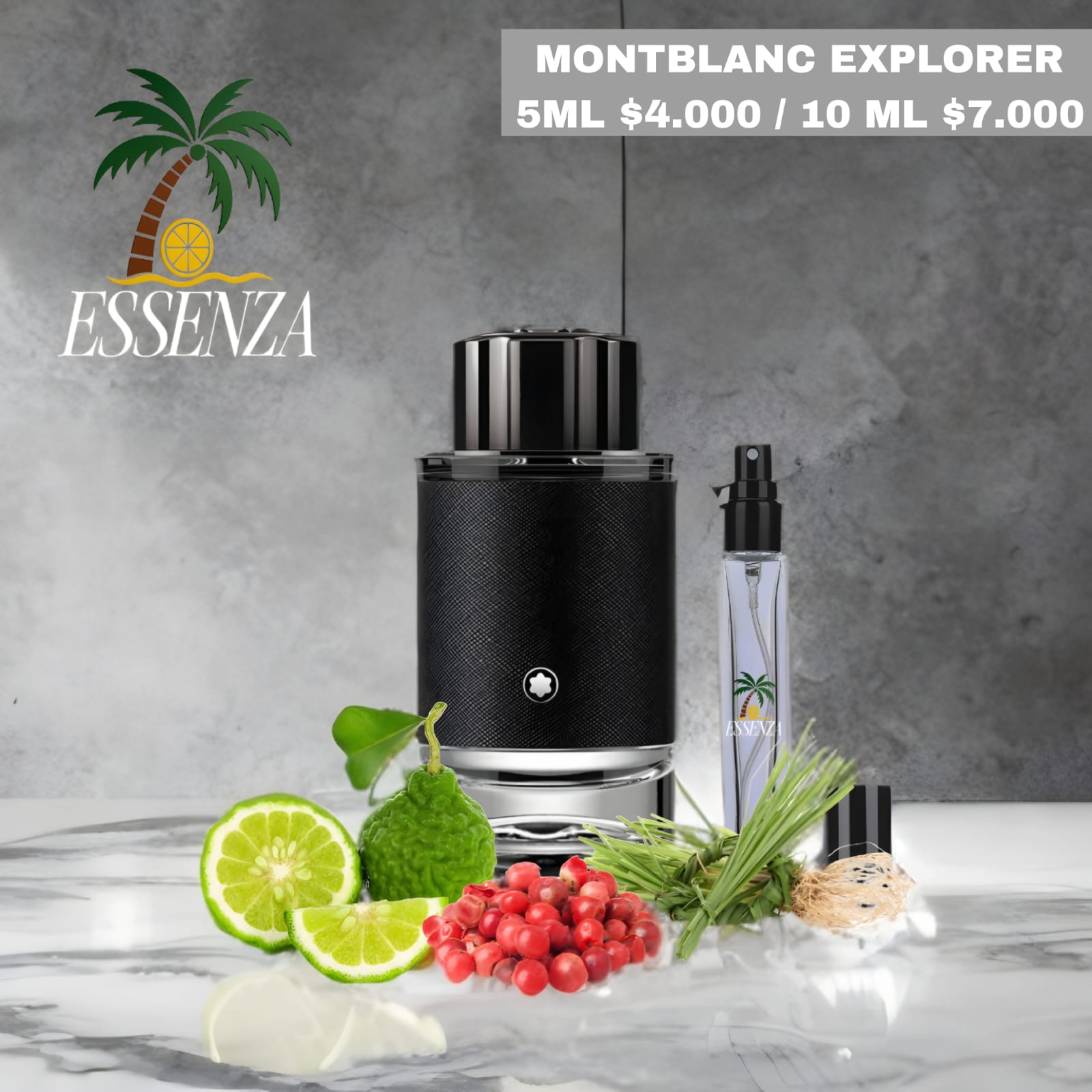MONTBLANC EXPLORER